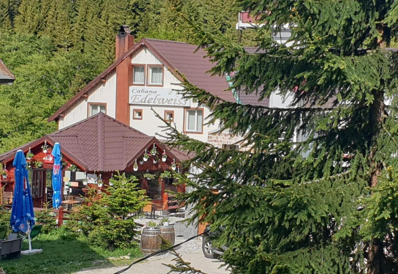 Cabana Edelweiss Lupeni  Exterior foto