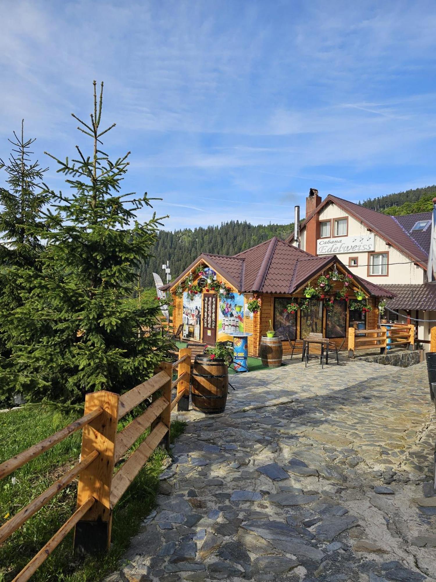 Cabana Edelweiss Lupeni  Exterior foto
